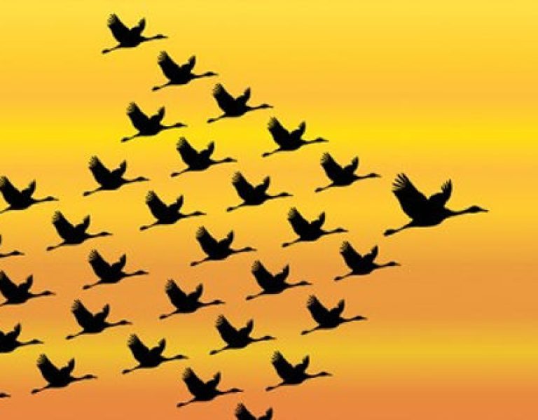 What is a Christian Leader